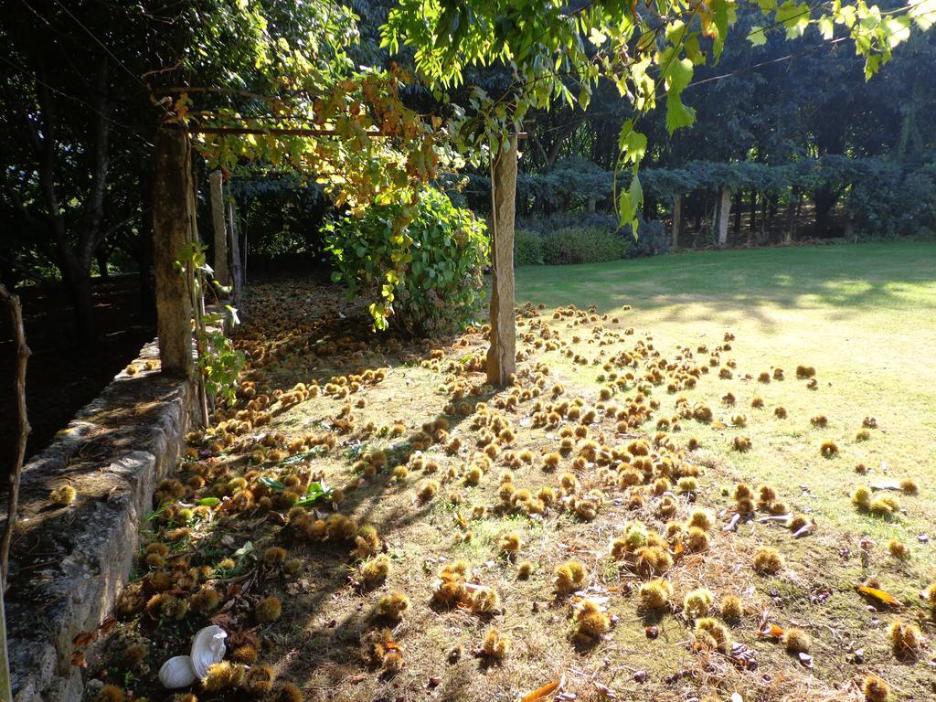 Отель Quinta Do Casal Do Condado Facha Экстерьер фото